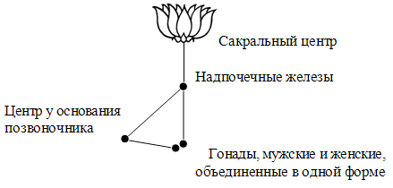 КОМПИЛЯЦИЯ О СЕКСЕ img_3.png