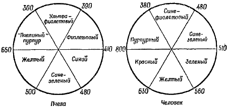 Чувства животных i_023.png