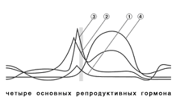 Желанный ребенок i_008.png