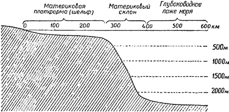 Морское дно i_006.png