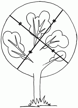 Suреrинтеллект. Интенсив-тренинг для повышения IQ _65.png