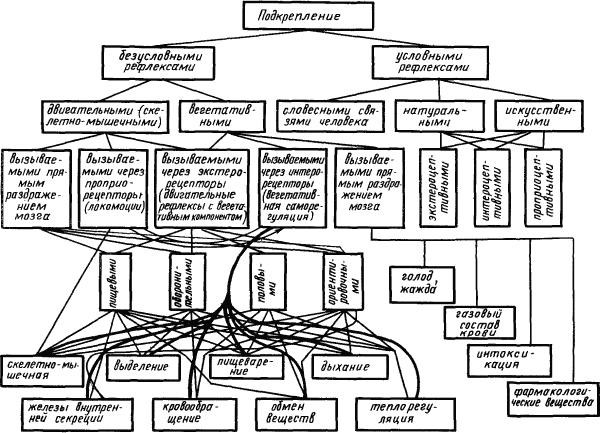 Основы физиологии высшей нервной деятельности p_012_1.png