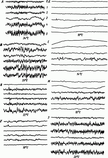 Основы физиологии высшей нервной деятельности p_063_1.png