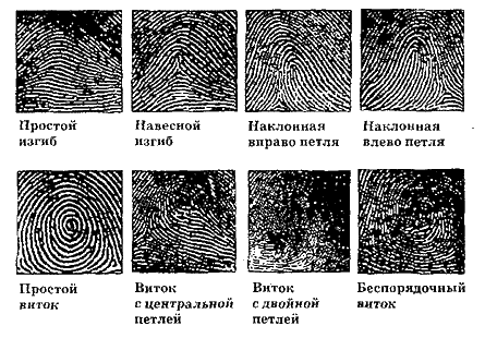 Детективные загадки – разгадай сам i_004.png