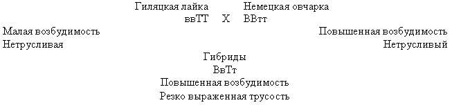 Эволюционно-генетические аспекты поведения: избранные труды i_004.png