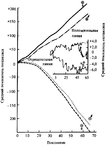 Эволюционно-генетические аспекты поведения: избранные труды i_067.png