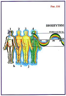 Последнее обращение к человечеству _116.jpg