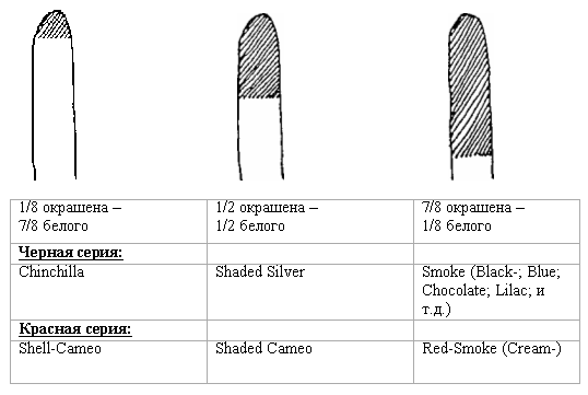 Генетика genetics7.gif