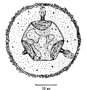 Мыслящая Вселенная doc2fb_image_0300007C.jpg