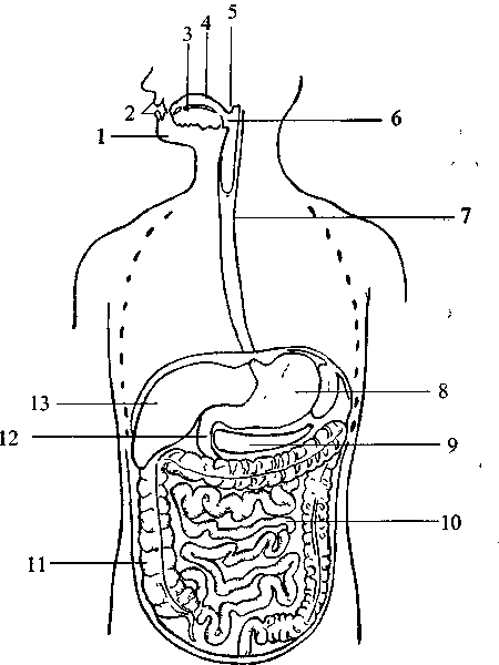 Диабет. Мифы и реальность i_005.png