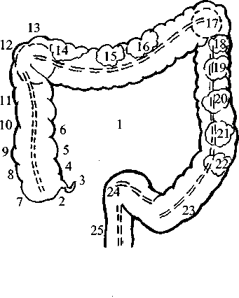 Диабет. Мифы и реальность i_006.png