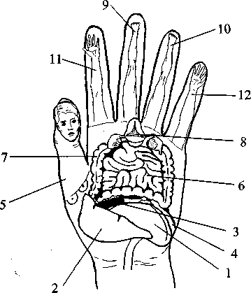 Диабет. Мифы и реальность i_019.png