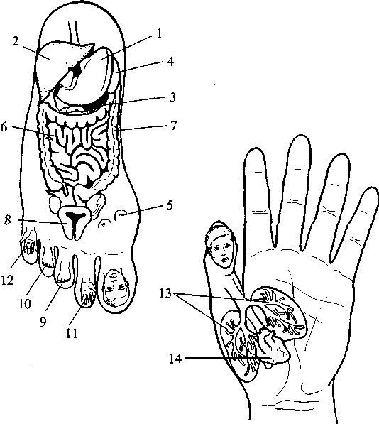 Диабет. Мифы и реальность i_020.png