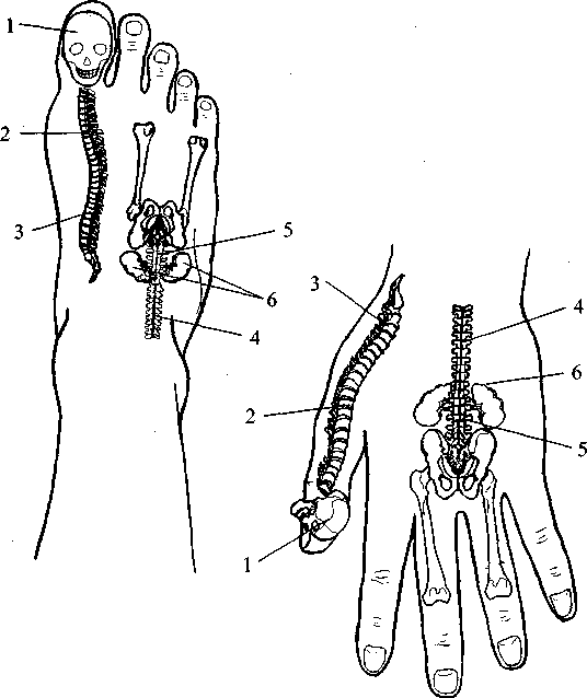 Диабет. Мифы и реальность i_021.png