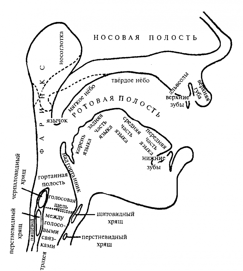 Введение в языковедение img_11.png