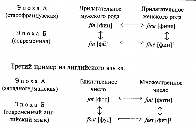 Введение в языковедение img_4.png