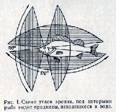 Спортивная ловля рыбы pic_1.jpg