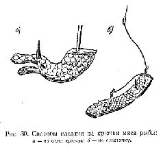 Спортивная ловля рыбы pic_71.jpg