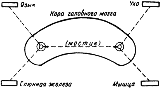 Техника дрессировки служебных собак i_018.png