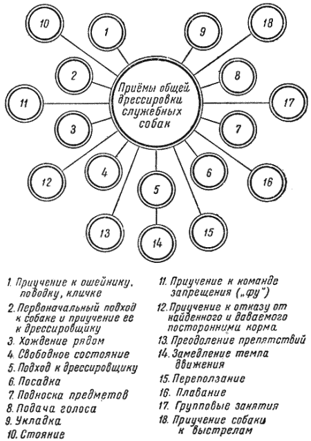 Служебная собака. Руководство по подготовке специалистов служебного собаководства i_110.png