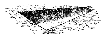 Содержание и дрессировка служебных собак i_063.png