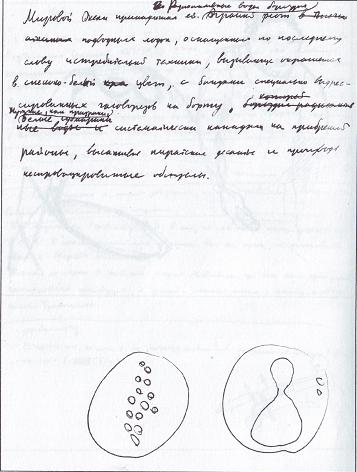 Неизвестные Стругацкие. От «Понедельника ...» до «Обитаемого острова»: черновики, рукописи, варианты i_017.jpg