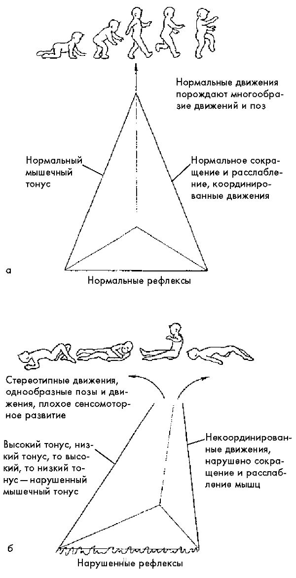 Ребенок с церебральным параличом : помощь, уход, развитие i_001.jpg