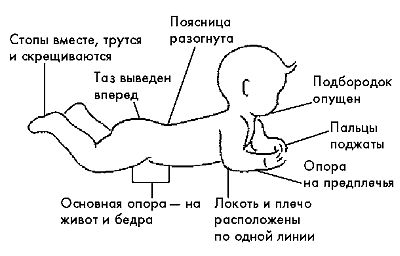 Ребенок с церебральным параличом : помощь, уход, развитие i_024.jpg