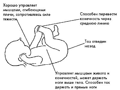 Ребенок с церебральным параличом : помощь, уход, развитие i_028.jpg