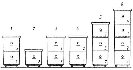 Мед и продукты пчеловодства i_016.jpg