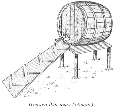 Мед и продукты пчеловодства i_018.jpg