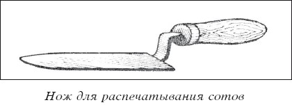 Мед и продукты пчеловодства i_031.jpg