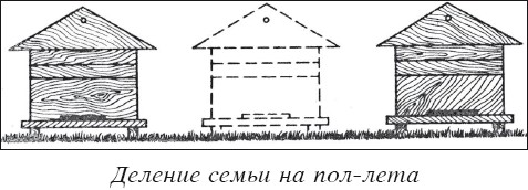 Мед и продукты пчеловодства i_038.jpg