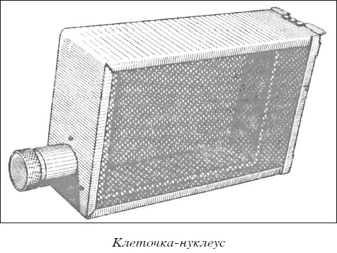 Мед и продукты пчеловодства i_039.jpg