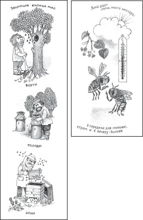 Мед и продукты пчеловодства i_048.jpg