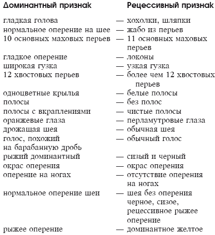 Мясные голуби и домашнее голубеводство i_006.png