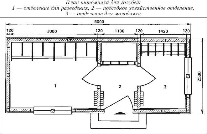 Мясные голуби и домашнее голубеводство i_022.png