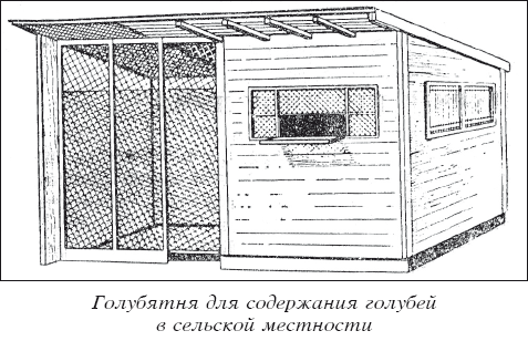 Мясные голуби и домашнее голубеводство i_027.png