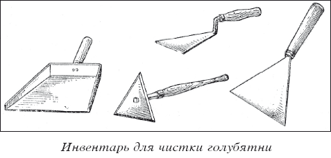 Мясные голуби и домашнее голубеводство i_029.png