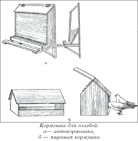 Мясные голуби и домашнее голубеводство i_030.png