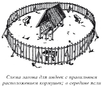 Разведение домашней птицы на ферме и приусадебном участке i_031.jpg