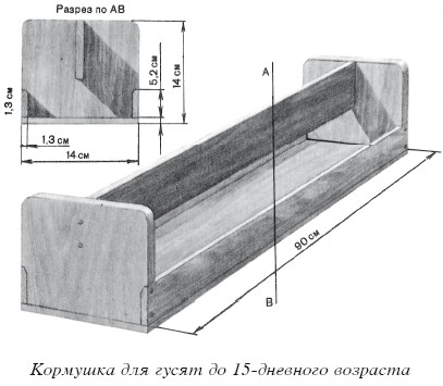 Разведение домашней птицы на ферме и приусадебном участке i_034.jpg