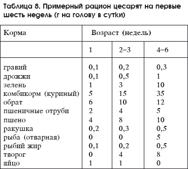 Разведение домашней птицы на ферме и приусадебном участке i_044.png