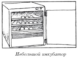 Разведение домашней птицы на ферме и приусадебном участке i_062.jpg