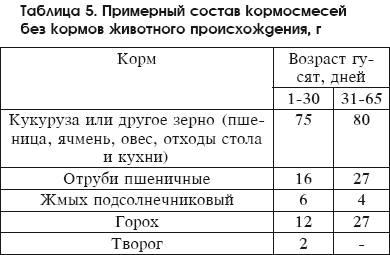 Разведение домашней птицы на ферме и приусадебном участке i_074.png