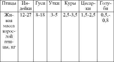 Разведение домашней птицы на ферме и приусадебном участке i_105.png