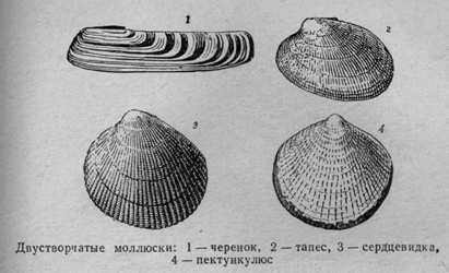 За голубым порогом pic22.jpg