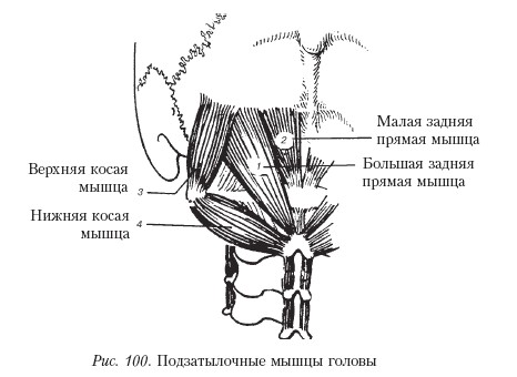 Массаж _100.jpg