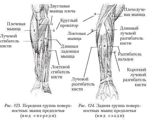 Массаж _124.jpg