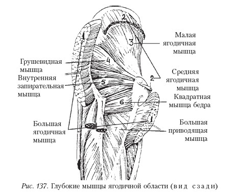 Массаж _137.jpg